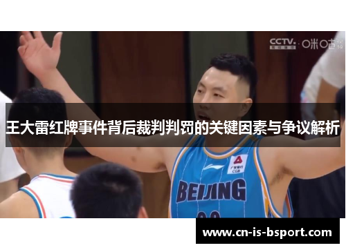 王大雷红牌事件背后裁判判罚的关键因素与争议解析