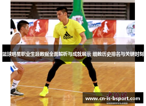 篮球明星职业生涯数据全面解析与成就展示 细数历史排名与关键时刻