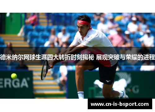 德米纳尔网球生涯四大转折时刻揭秘 展现突破与荣耀的进程