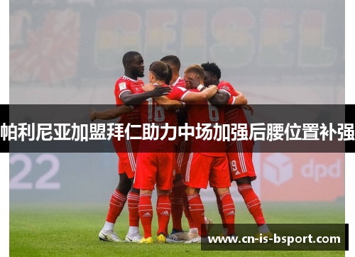 帕利尼亚加盟拜仁助力中场加强后腰位置补强