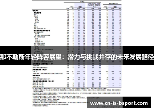 那不勒斯年轻阵容展望：潜力与挑战并存的未来发展路径