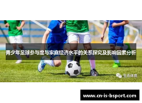 青少年足球参与度与家庭经济水平的关系探究及影响因素分析