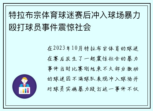 特拉布宗体育球迷赛后冲入球场暴力殴打球员事件震惊社会